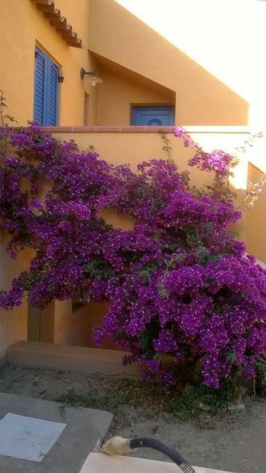 Casa Sa Ide Villa Torre dei Corsari Luaran gambar